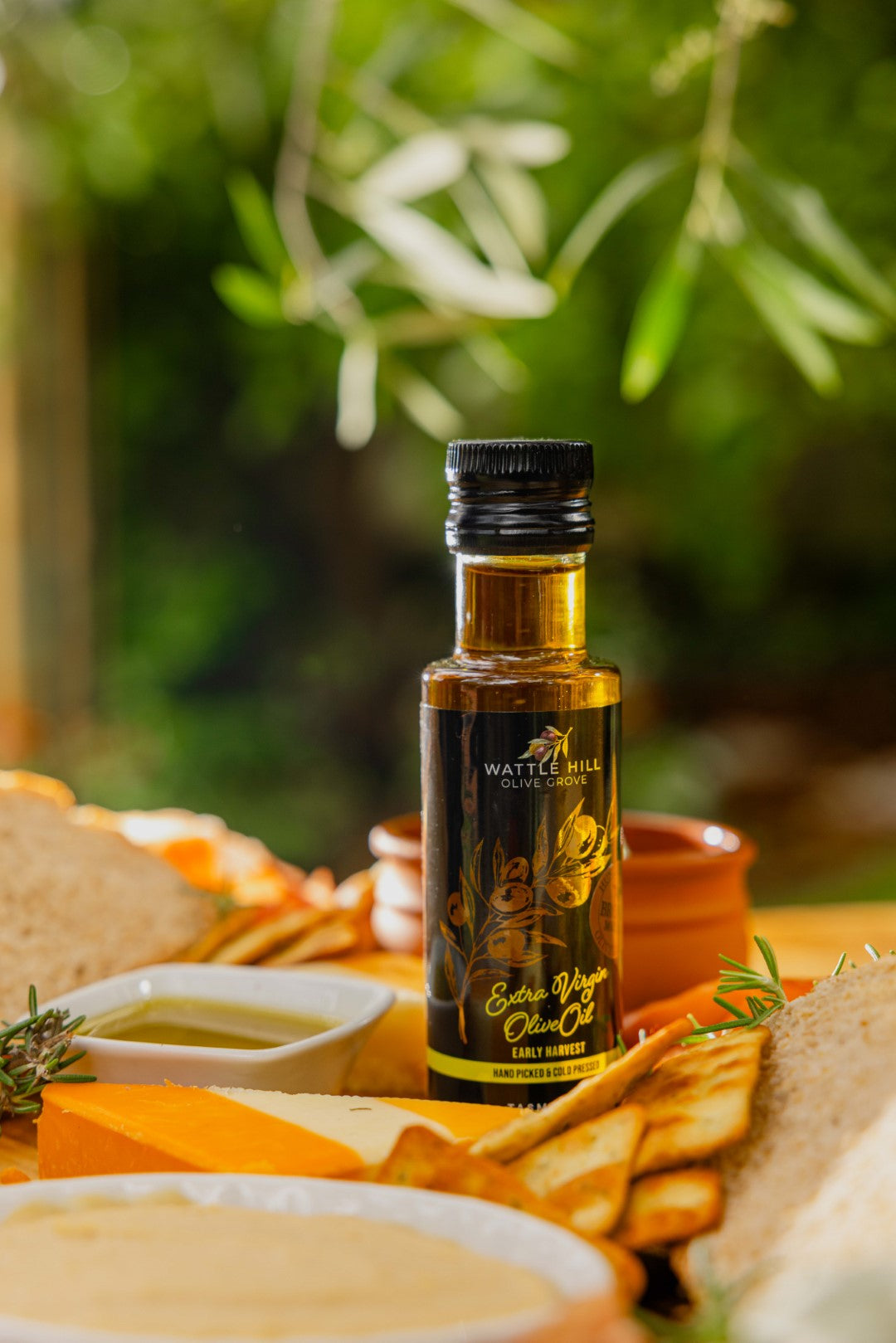 What is Early Harvest Olive Oil?